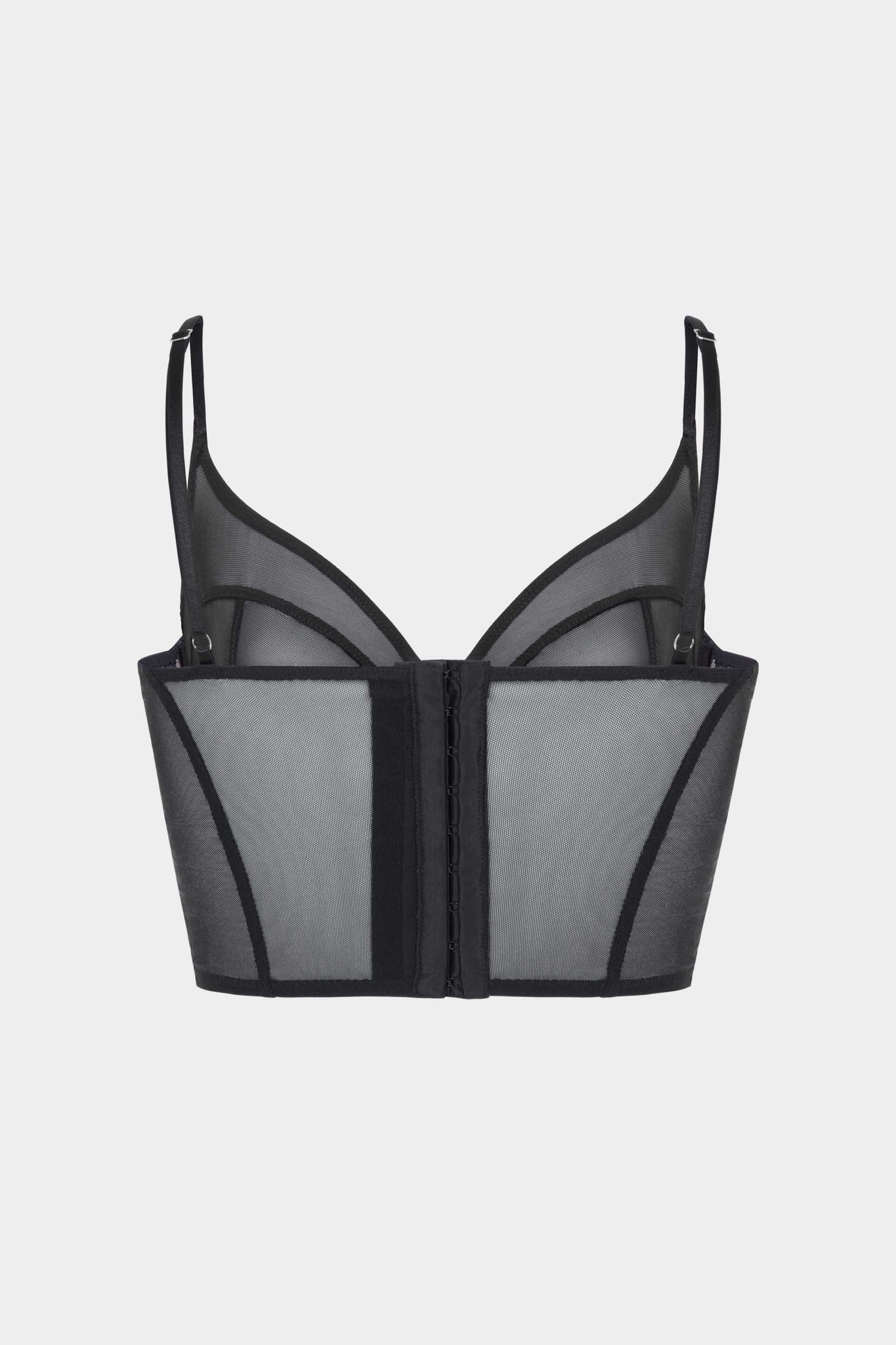 Charlotte / The Corset
